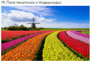 שדות צבעונים בהולנד